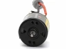 Spektrum Firma 35T Rebuildable 3-Pole Brushed Crawler Motor