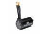 Firma 3650-3400Kv 4-Pole Sensorless Brushless Motor: 5mm