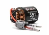 Spektrum Firma 55T Rebuildable 3-Pole Brushed Crawler Motor