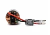 Spektrum Firma 55T Rebuildable 3-Pole Brushed Crawler Motor