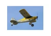 Top RC Mini XCub 450 - RTF