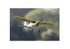 Top RC Mini XCub 450 - RTF