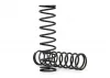 Traxxas Springs, Shock (natural finish) (GTX) (4.003 rate) (2)