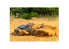 Traxxas Rustler 4X4 BL-2S