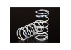 Traxxas Spring Shock white (GTR long) (0.892 rate blue) (1 pair)