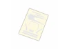 Traxxas Decals high visibility white