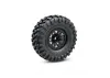 Traxxas TRX-4 Clipless Unassembled Kit