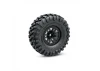 Traxxas TRX-4 Clipless Unassembled Kit