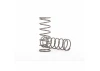 Traxxas Springs Shock (natural finish) (GT-MAXX ) (1.725 rate) (2)
