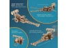 UGears Top Fuel Dragster ** CLEARANCE **