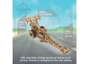UGears Top Fuel Dragster ** CLEARANCE **