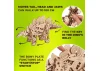 UGears Stegosaurus ** CLEARANCE **