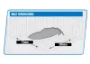 Volantex Arrobolt Lumen SR40 Brushless Boat RTR Combo - Green