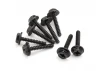 Wheel Lock Bolts