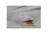 The Wooden Model Boat Company PT-109 Patrol Torpedo Boat Kit 400mm