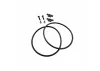 Willspeed O-Ring Style Battery Mount-Low Profile (carbon)