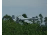 XFly A-10 Warthog 1000mm - 50mm Twin EDF