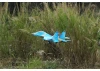 Xfly SU-27 Twin 50mm EDF Jet ARTF - Blue Camo