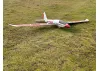 XFly Swift 2100 Glider - ARTF