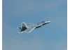XFly F-22 EDF Jet