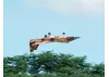 XFly F-15 Twin 40mm EDF 710mm Jet - ARTF - Desert Camo