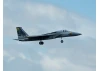 XFly F-15 Twin 40mm EDF 710mm Jet - ARTF - Grey