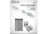 XRay XLP Spring Set C 3.0 (2)