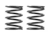 XRay 3S Spring Set C=5.0 (2)