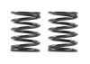XRay 3S Spring Set C=5.5 (2) ** CLEARANCE **