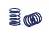 XRay Spring Set D=1.7 (28.5 LB) Dark-Blue - Soft-Medium - Front (2)