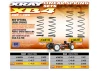 XRay Rear Spring Set - 4 Dots (2)
