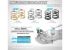 XRay Front Coil Spring For 4mm Pin C=1.5-1.7 - Gold (2)