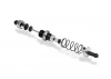 XRay Shock Absorber Set