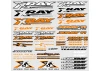 XRay Sticker For Body - Neon Orange