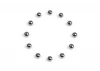 XRay Carbide Ball 3.175mm (12)