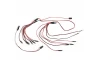 RC4WD Basic Lighting System for 1987 Toyota XtraCab Hard Body RC4WD