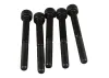 Zenoah Bolt M5x50mm (5 pcs)