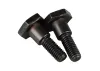Zenoah Bolt M6x22mm (2 pcs)