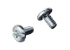 Zenoah Pump Cover Bolt (2 pcs)
