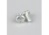Zenoah Pump Cover Bolt (2 pcs)