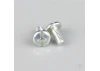 Zenoah Pump Cover Bolt (2 pcs)
