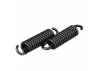 Zenoah Clutch Spring (2 pcs)