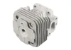 Zenoah Cylinder Assembly