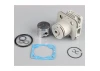 Zenoah Repair Kit (Cylinder Assembly, PistonRing, Gudgen Clips, Gasket, O-Rings) (for G260PUM)