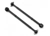 Associated CVA Bone B5/B5M