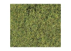 Heki 1574 Wild Grass Savanna