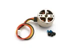 Kootai Maule Brushless Motor