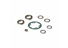 Center Diff Rebuild Kit