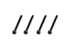 Cap Head Screw M2.5x25mm (4)