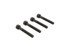 Cap Head Screw M4x30mm (4)